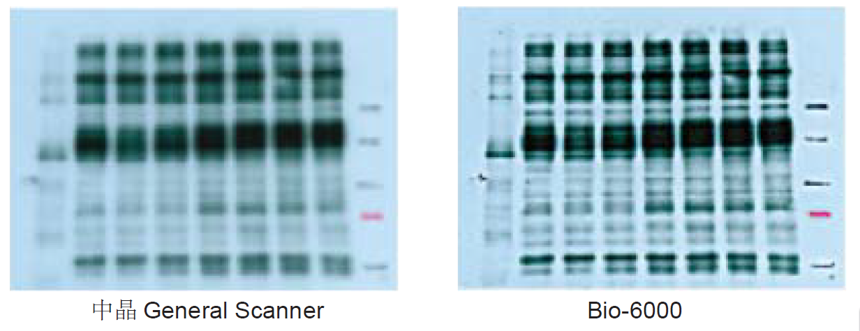 1560994389128401.png 1560994389128401.png